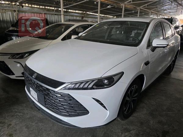 بي واي دي Qin Plus 2025 للبيع في العراق -  بغداد